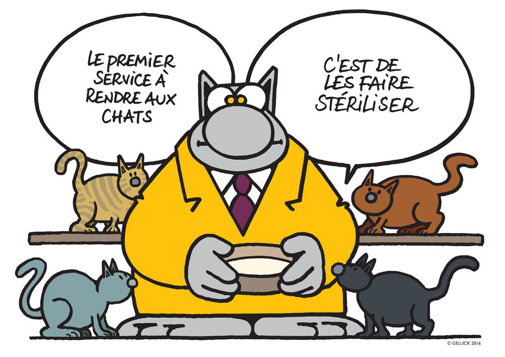 le chat geluck pour la stérilisation